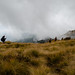 Mardi Himal Trail