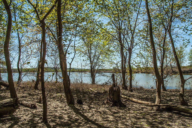 Oxbow - Mercer Pond - April 26, 2014