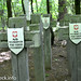 Cmentarz w Ościsłowie (17) • <a style="font-size:0.8em;" href="http://www.flickr.com/photos/115791104@N04/13979813151/" target="_blank">View on Flickr</a>