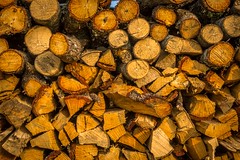 Wood seems to be the fuel of choice for homes.