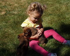 Ava and puppies 19
