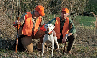 Private Alabama Quail Hunting - Davis Quail 28