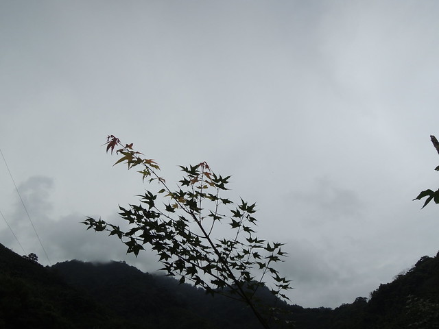 DSCN3396