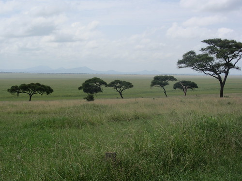 Tanzania Tour, 2012