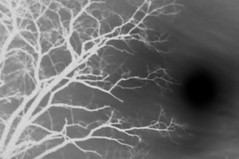 Invert3