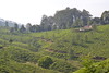 Tea Plantation Bungalow, Munnar • <a style="font-size:0.8em;" href="http://www.flickr.com/photos/19035723@N00/6625313173/" target="_blank">View on Flickr</a>
