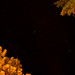 Starry Night • <a style="font-size:0.8em;" href="http://www.flickr.com/photos/72440139@N06/6839685761/" target="_blank">View on Flickr</a>