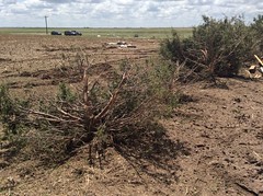Damage from the May 24, 2016 tornado near Platner, Colorado. (National Weather Service)