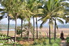Quinta Malarkar, Goa • <a style="font-size:0.8em;" href="http://www.flickr.com/photos/19035723@N00/6625081945/" target="_blank">View on Flickr</a>