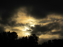 6/365 : Light and shadow