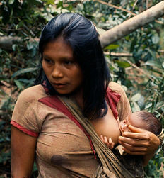 Young Maku Mother Breast-Feeding Baby Carried In Sling Across Her Body   Colombia, North West Amazon, Vaupes, by Eye Ubiquitous