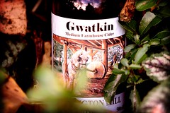 Gwatkin yarlington mill cider