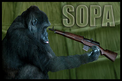 SOPA Gorilla