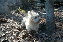 Jan 7 2012 - Teddy