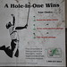 A hole-in-one wings your choice