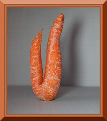 30/365 - Special Carrot