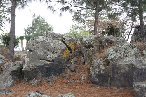 Rocks and Trees in Cantona