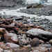 Rocks near Fox Glacier • <a style="font-size:0.8em;" href="https://www.flickr.com/photos/40181681@N02/6433952711/" target="_blank">View on Flickr</a>