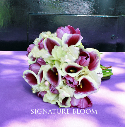 Los Altos Wedding Flowers, Purple & Cream Calla Lily Bouquet