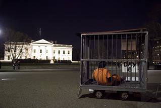 Witness Against Torture: 96-Hour Cage Vigil at the White House