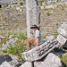 Paul at Sagalassos • <a style="font-size:0.8em;" href="http://www.flickr.com/photos/72440139@N06/6827847799/" target="_blank">View on Flickr</a>