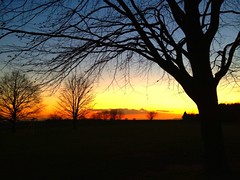 Setting sun 13/366