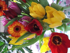 Colour
