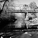 Abandoned Through Truss  FM 2854 Bridge over San Jacinto River 0128121504BW