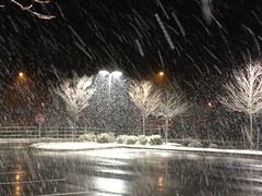 01/09/12 Snow 365/009