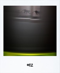 #DailyPolaroid of 19-1-12 #112 • <a style="font-size:0.8em;" href="http://www.flickr.com/photos/47939785@N05/6744789341/" target="_blank">View on Flickr</a>