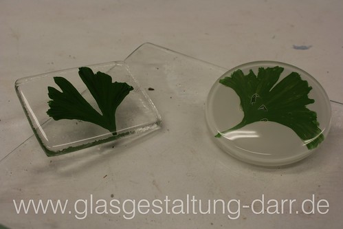Ginkgo in Glas / Ginkgo leaves in glass • <a style="font-size:0.8em;" href="http://www.flickr.com/photos/65488422@N04/6607083611/" target="_blank">View on Flickr</a>