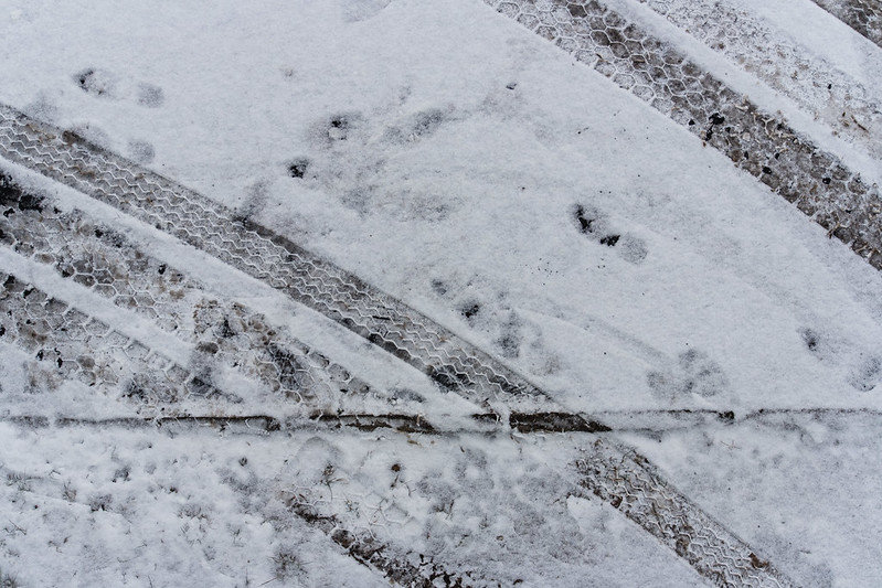 White tracks<br/>© <a href="https://flickr.com/people/7729940@N06" target="_blank" rel="nofollow">7729940@N06</a> (<a href="https://flickr.com/photo.gne?id=6713488045" target="_blank" rel="nofollow">Flickr</a>)