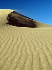 Sand dune (1)
