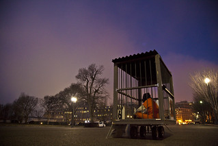Witness Against Torture: The Lonely Morning