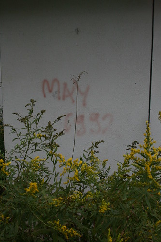May 1992 graffiti behind ice rink chiller building