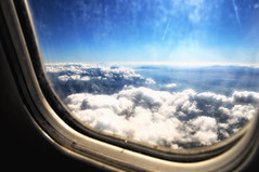 Window View