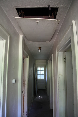 Attic ladder in the back hallway