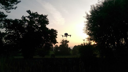 Drohne überm Teich im Park