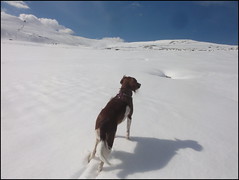 dh - Iris de la Loupette découvre le ski alpin