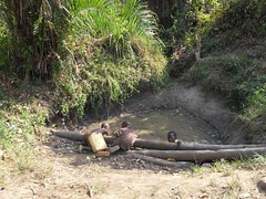 Traditional well