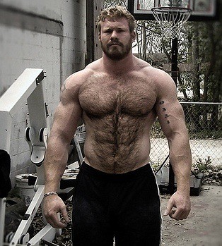 Muscle men hairy 