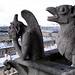 Gargoyles of Notre Dame • <a style="font-size:0.8em;" href="http://www.flickr.com/photos/26088968@N02/6906946311/" target="_blank">View on Flickr</a>