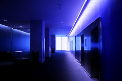 Blue Corridor at TIFF • <a style="font-size:0.8em;" href="http://www.flickr.com/photos/59137086@N08/6827367918/" target="_blank">View on Flickr</a>
