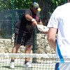 Rafael Lara padel 5 masculina torneo consul transportes souto mayo • <a style="font-size:0.8em;" href="http://www.flickr.com/photos/68728055@N04/7214352048/" target="_blank">View on Flickr</a>