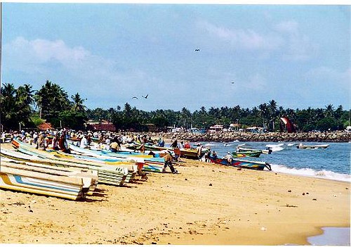 Negombo Fishing Village