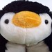 Meet Rosco the Pet Penguin • <a style="font-size:0.8em;" href="http://www.flickr.com/photos/75269191@N06/7132690291/" target="_blank">View on Flickr</a>