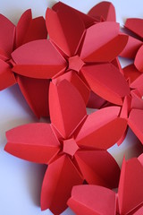 Origami création - Didier Boursin - Fleurs de cerisier