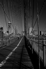 Wires of Brooklyn Bridge • <a style="font-size:0.8em;" href="http://www.flickr.com/photos/59137086@N08/7358415426/" target="_blank">View on Flickr</a>