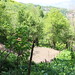 Views of Strezë • <a style="font-size:0.8em;" href="http://www.flickr.com/photos/62152544@N00/7258359774/" target="_blank">View on Flickr</a>