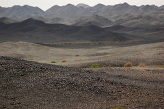 Wüste Gobi - schwarze Gobi